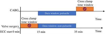 Mitochondrial Oxygenation During Cardiopulmonary Bypass: A Pilot Study